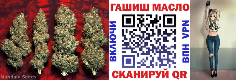 ТГК вейп  купить закладку  Ивангород 