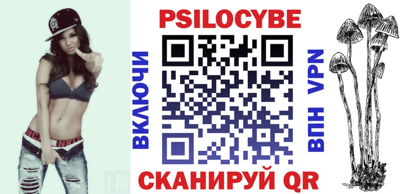 где можно купить   Ивангород  Галлюциногенные грибы Psilocybe 