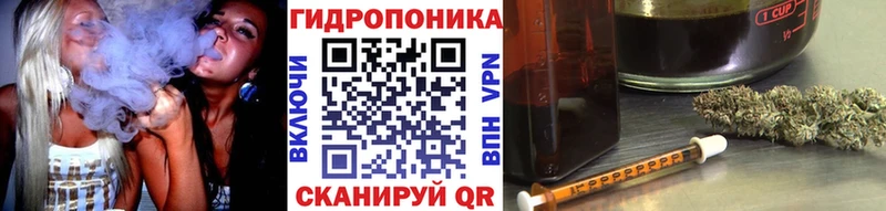 Конопля VHQ где можно купить Ивангород