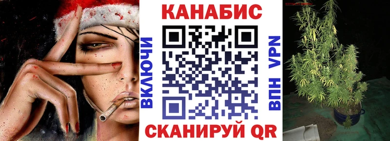 Конопля гибрид Ивангород